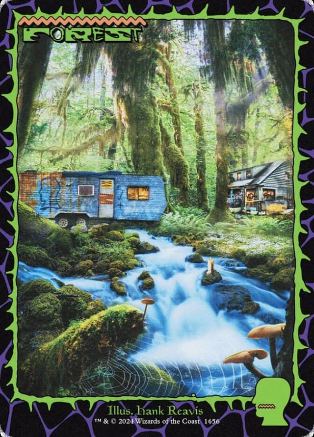 Forest image