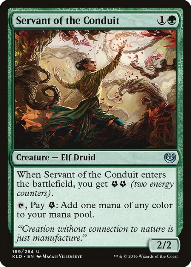 Servant of the Conduit image