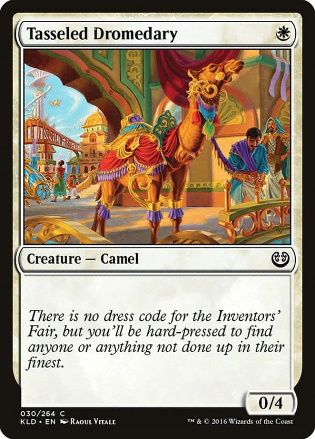 Tasseled Dromedary image
