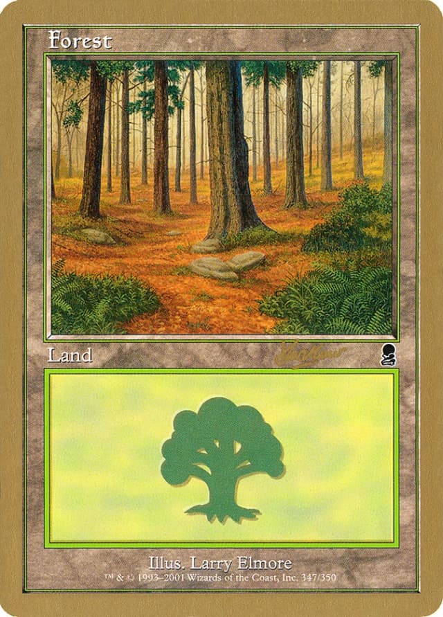 Forest image