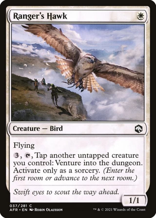 Ranger's Hawk image