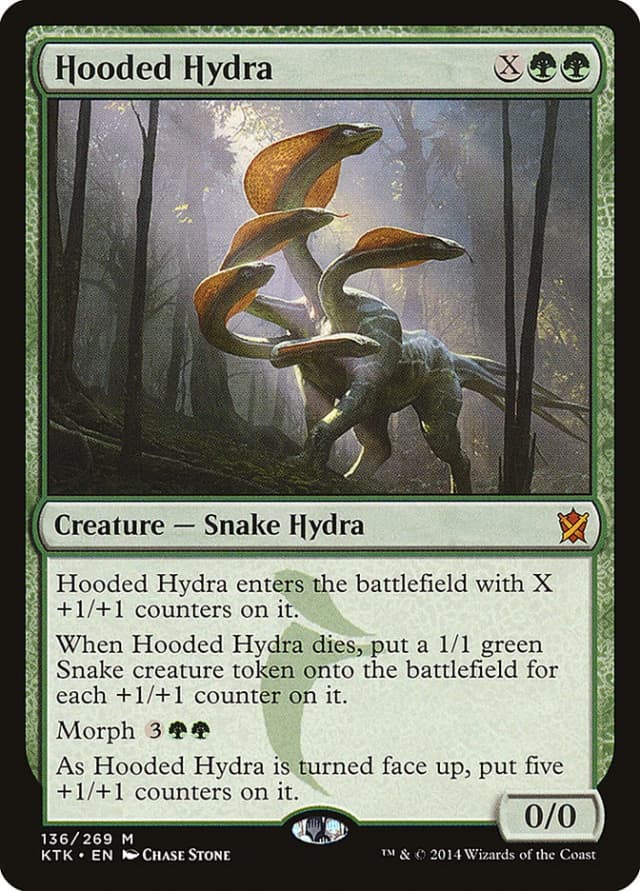 Hooded Hydra image