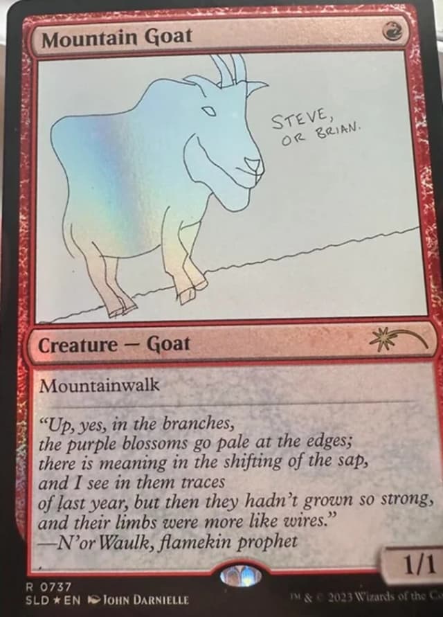 Mountain Goat image