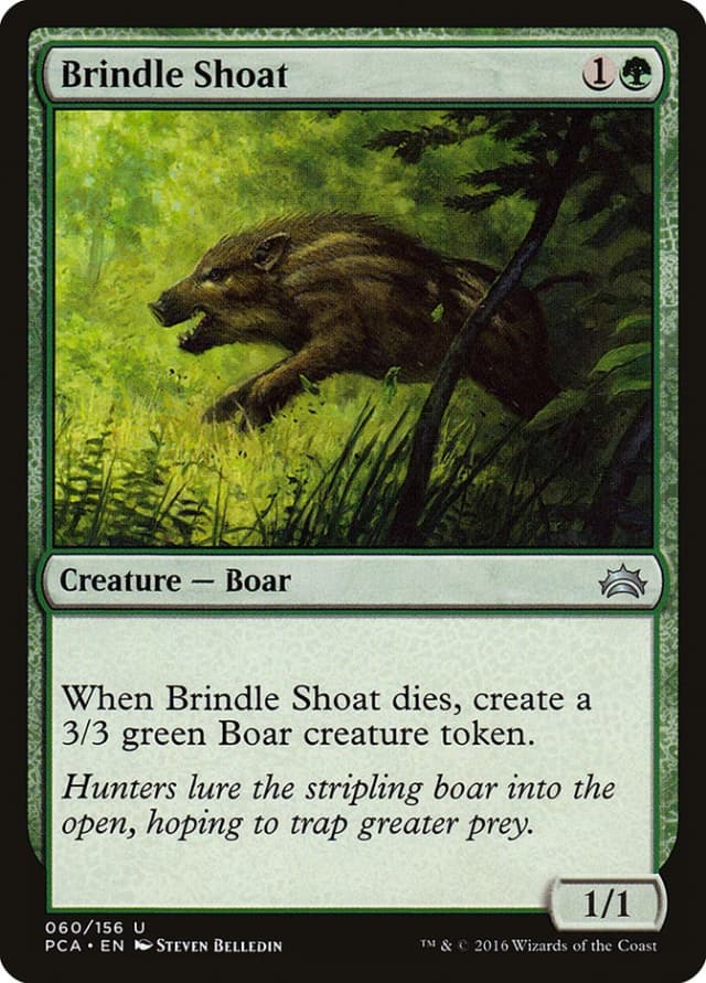 Brindle Shoat image