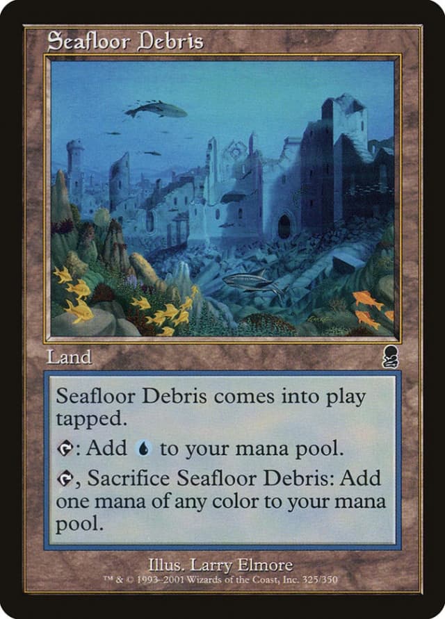 Seafloor Debris image