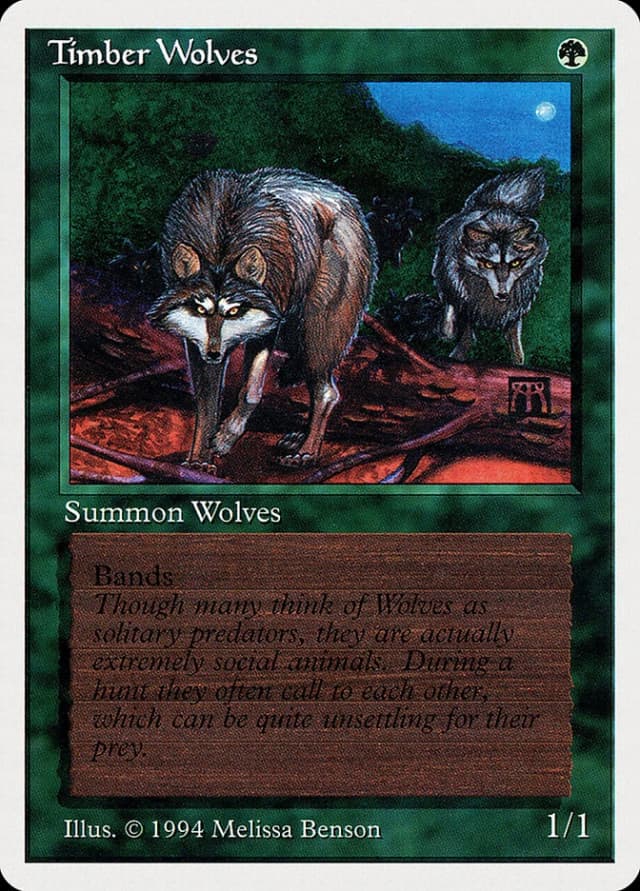 Timber Wolves image