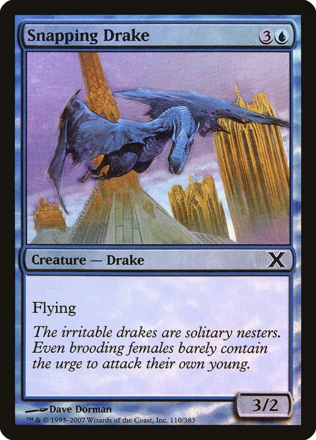 Snapping Drake image