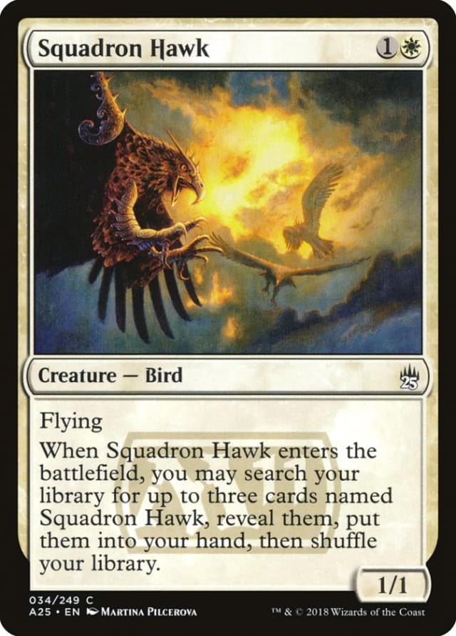 Squadron Hawk image