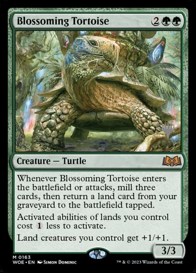 Blossoming Tortoise image
