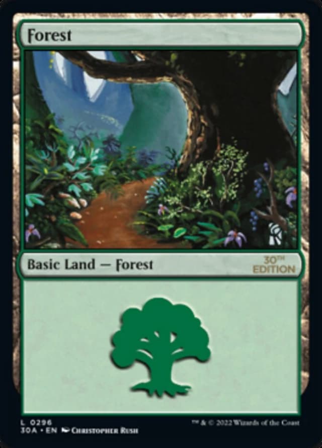 Forest image