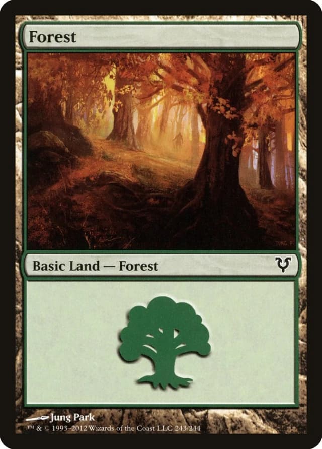 Forest image