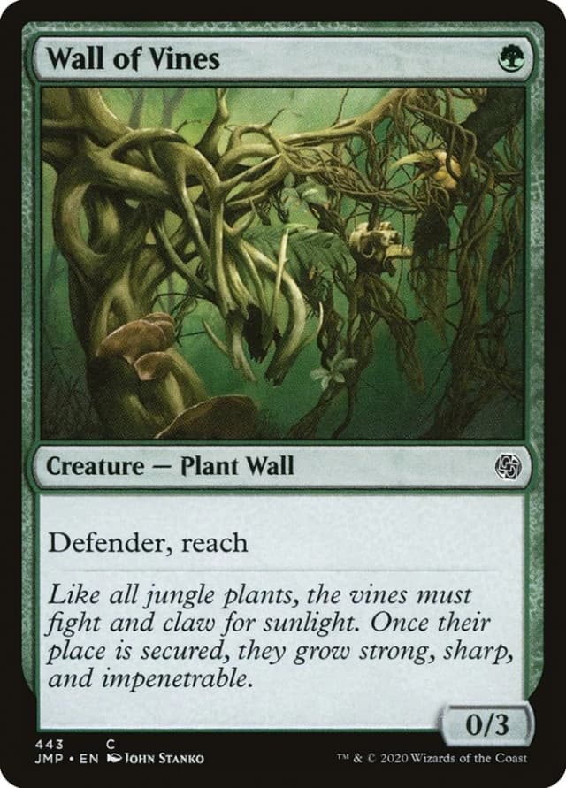 Wall of Vines image