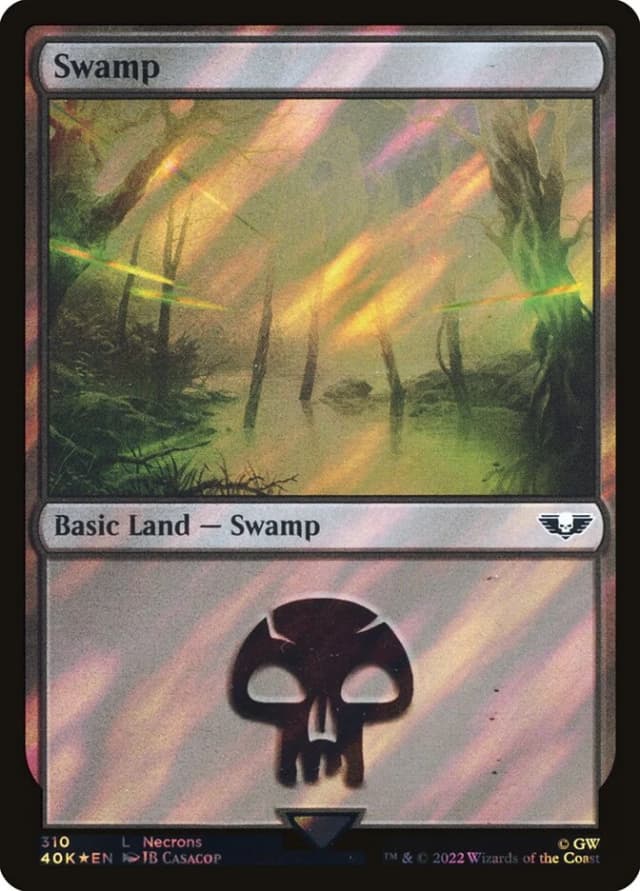 Swamp image
