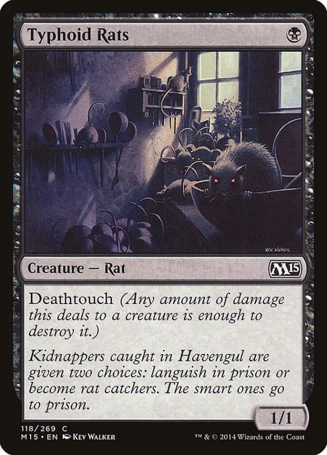 Typhoid Rats image