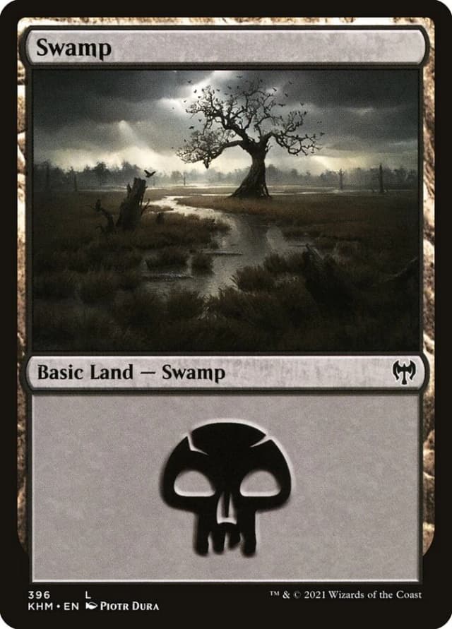 Swamp image