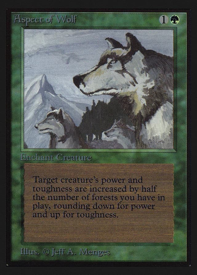 Aspect of Wolf image