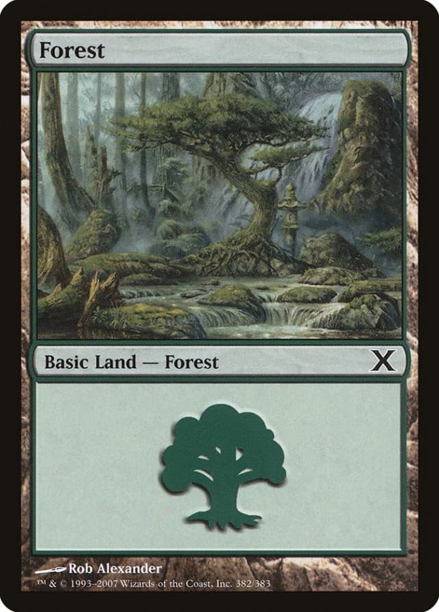 Forest image