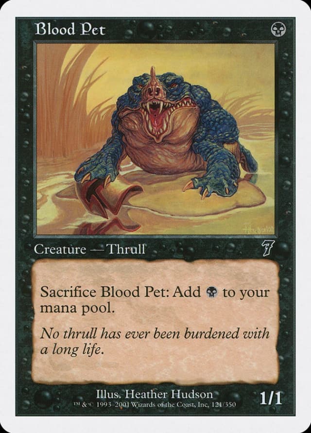 Blood Pet image