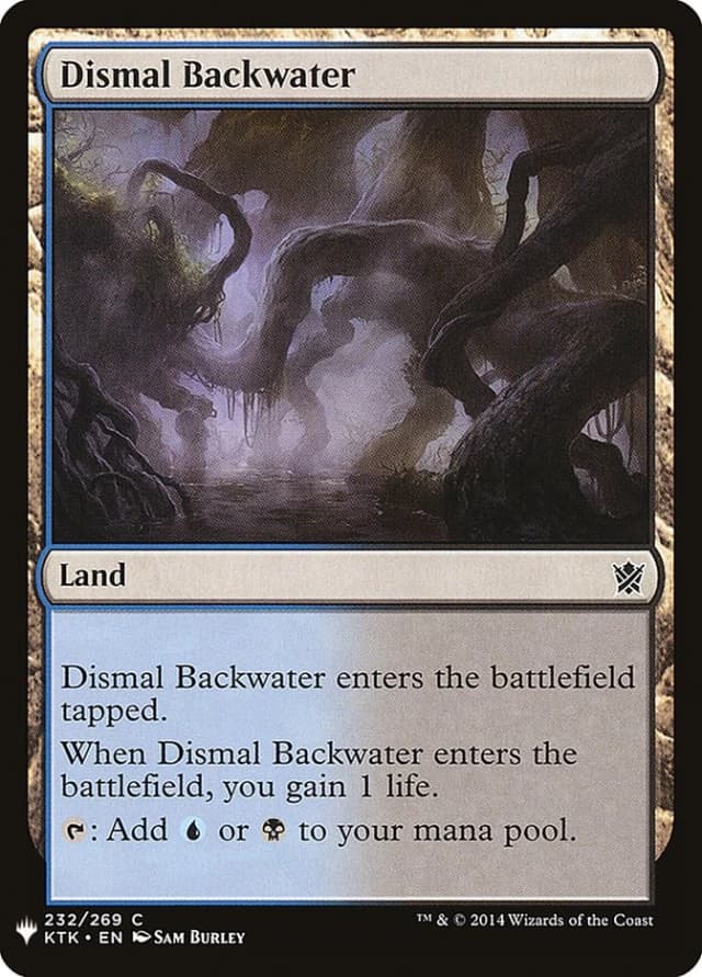 Dismal Backwater image