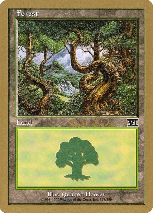 Forest image