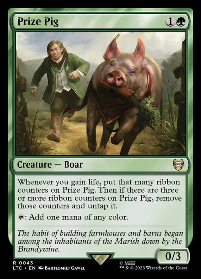 Prize Pig image