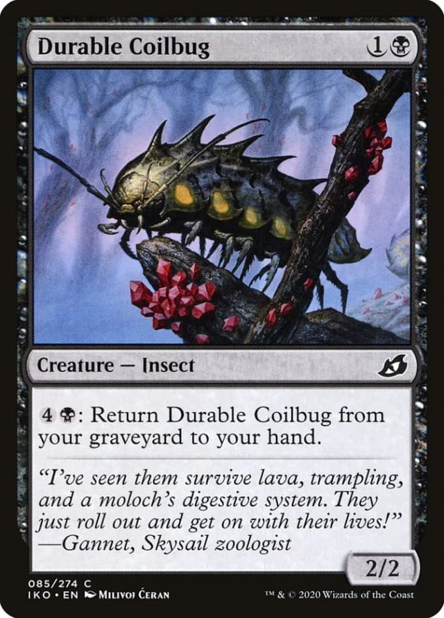 Durable Coilbug image