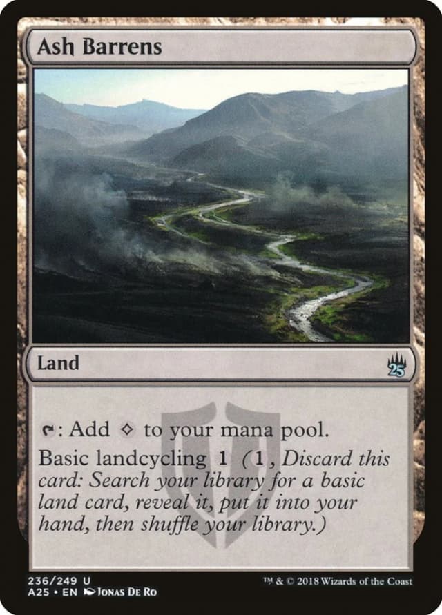 Ash Barrens image