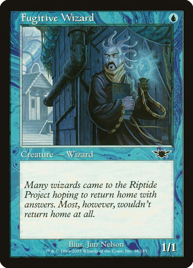 Fugitive Wizard image