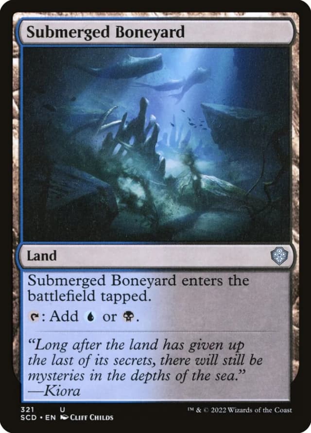 Submerged Boneyard image