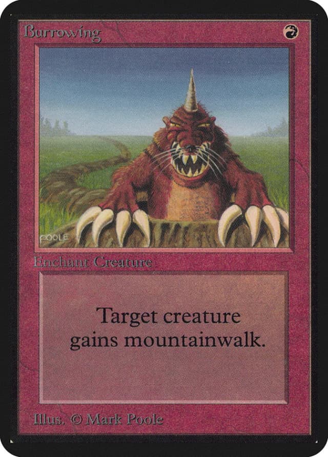 Burrowing image