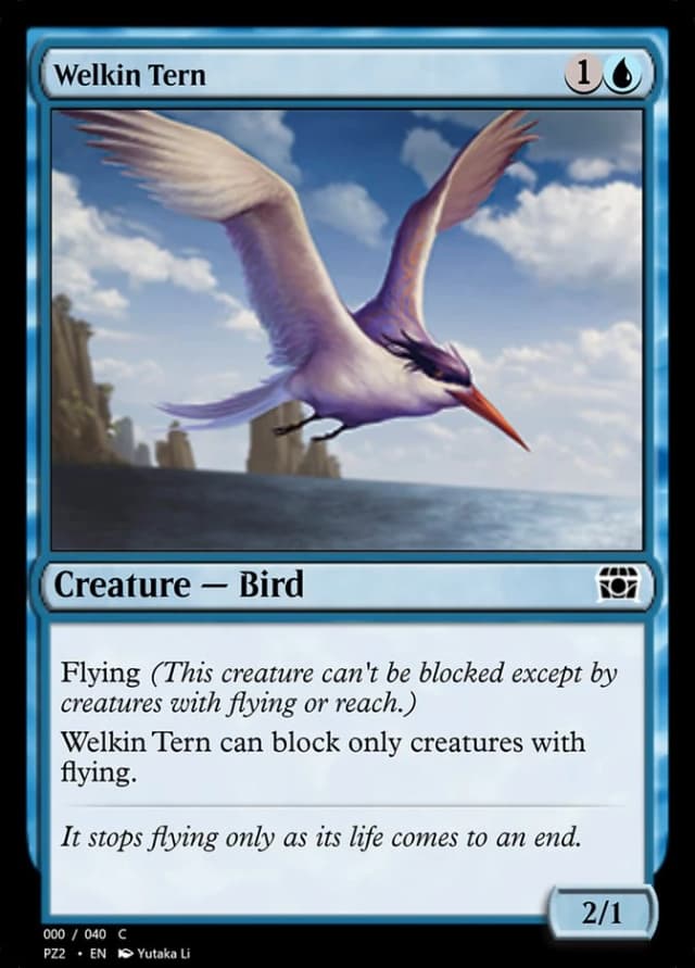 Welkin Tern image