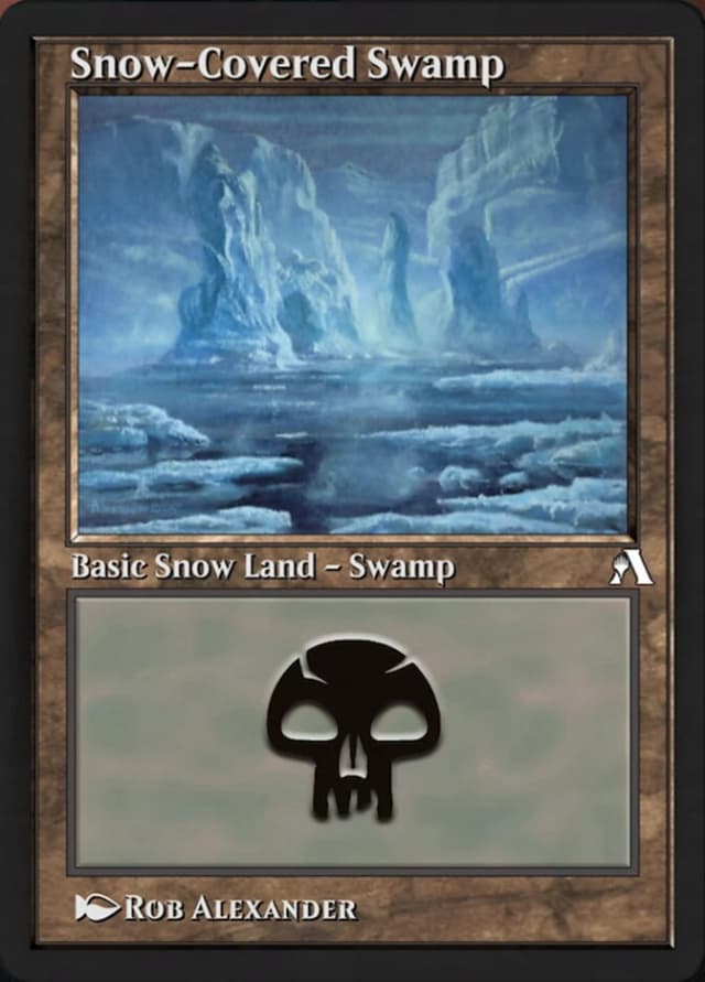 Snow-Covered Swamp image