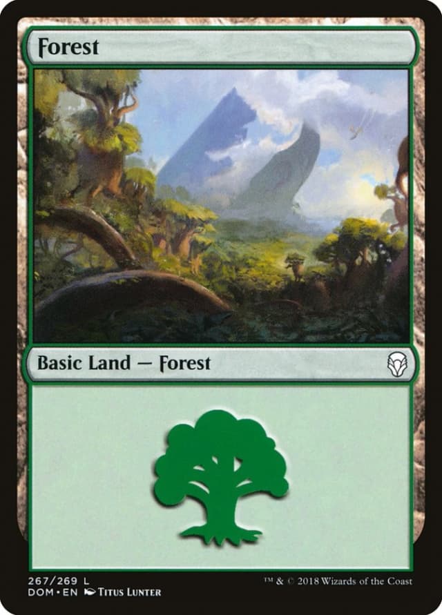 Forest image
