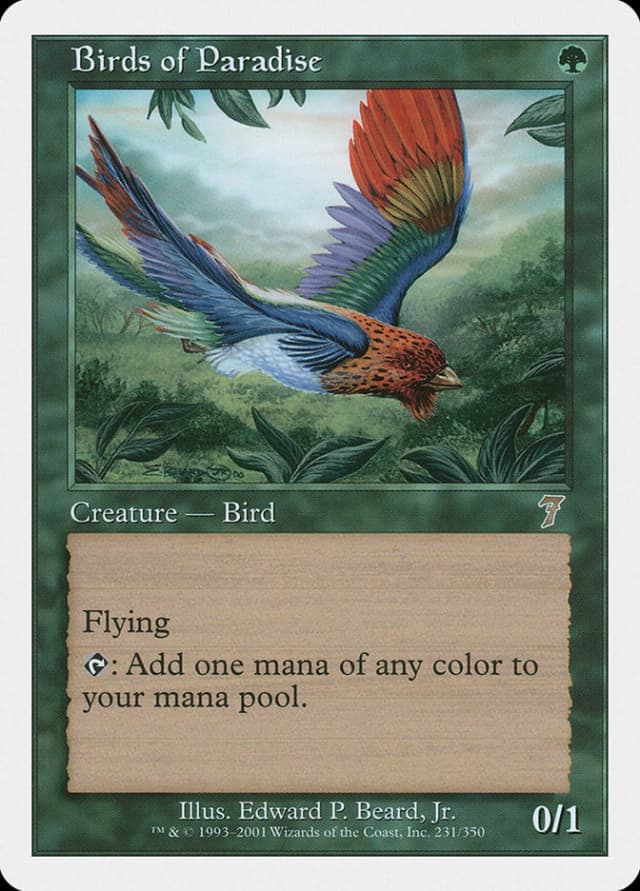 Birds of Paradise image