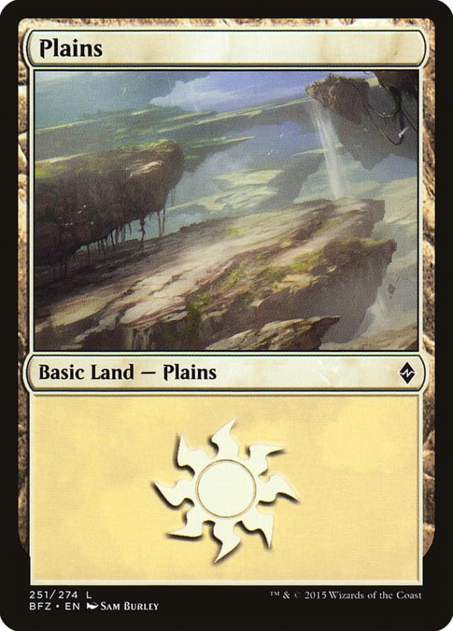 Plains image