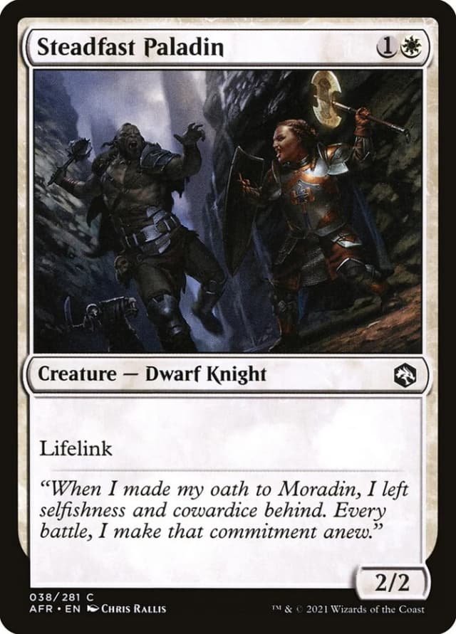 Steadfast Paladin image