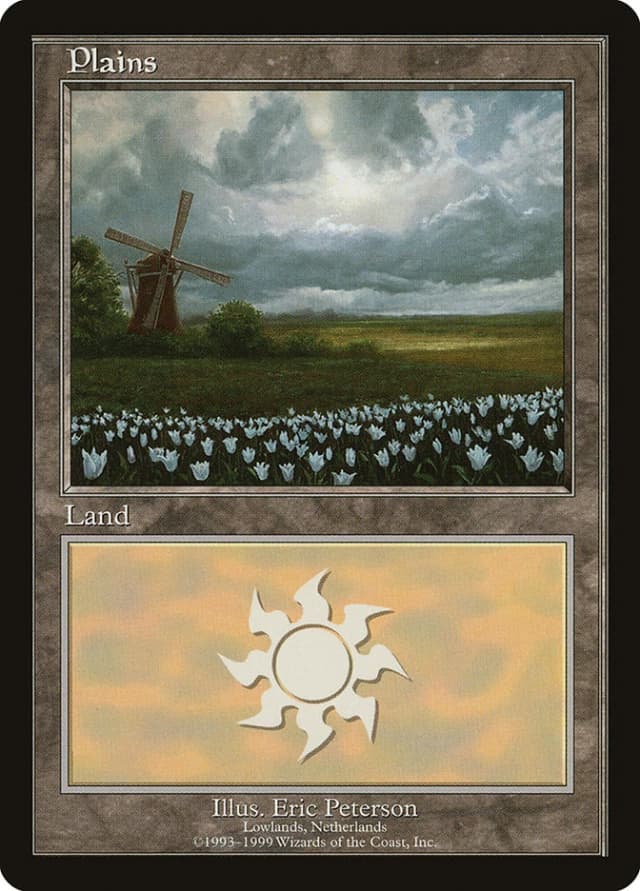 Plains image