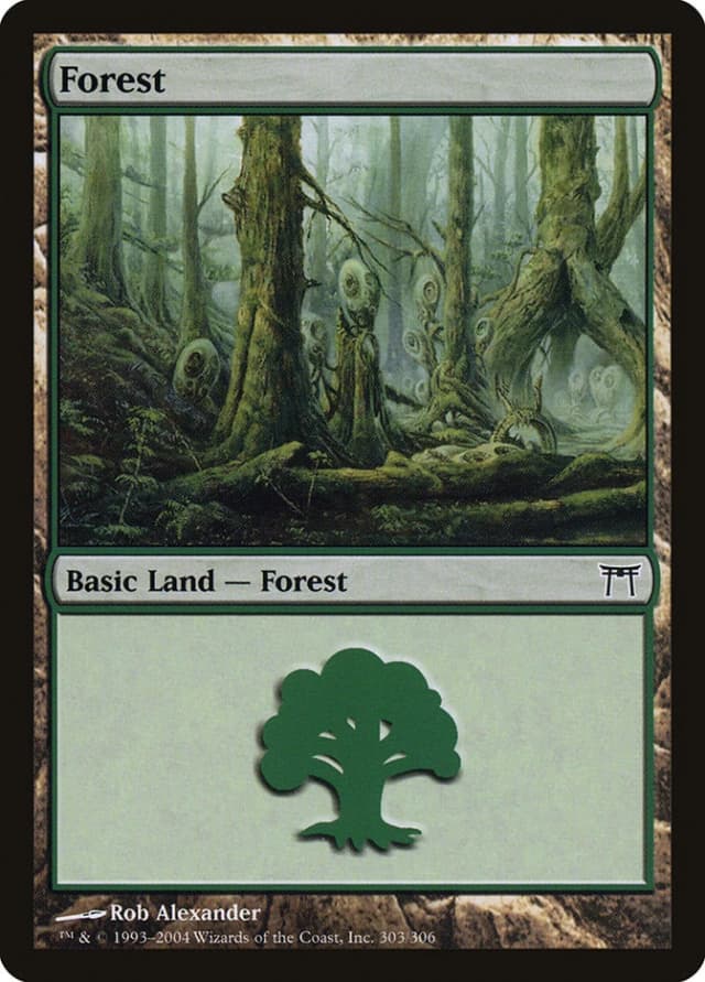 Forest image