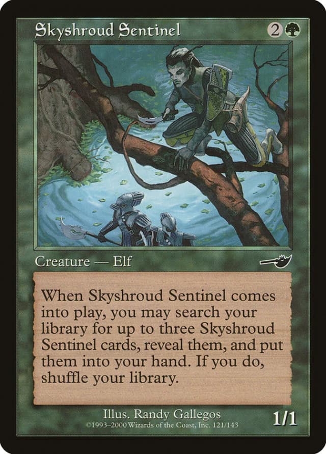 Skyshroud Sentinel image