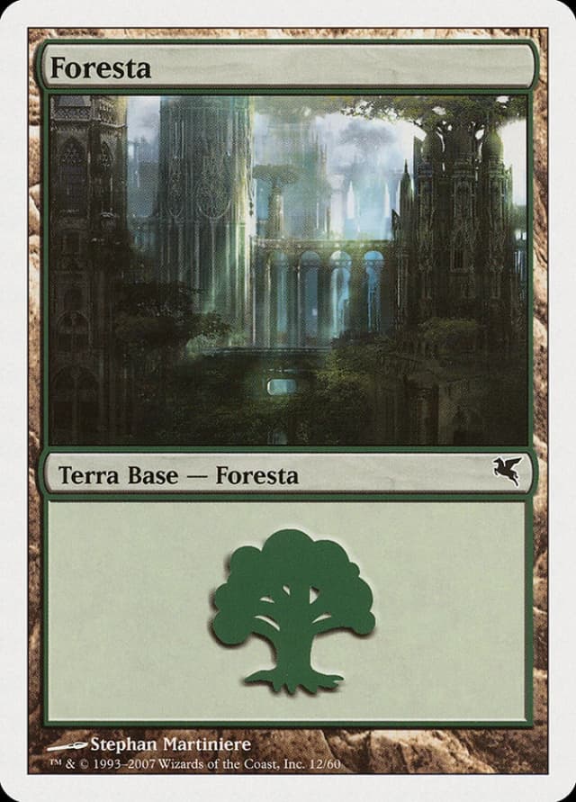 Forest image