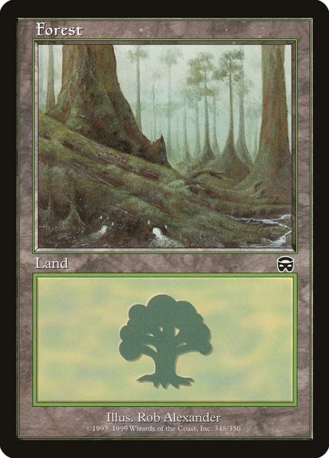 Forest image