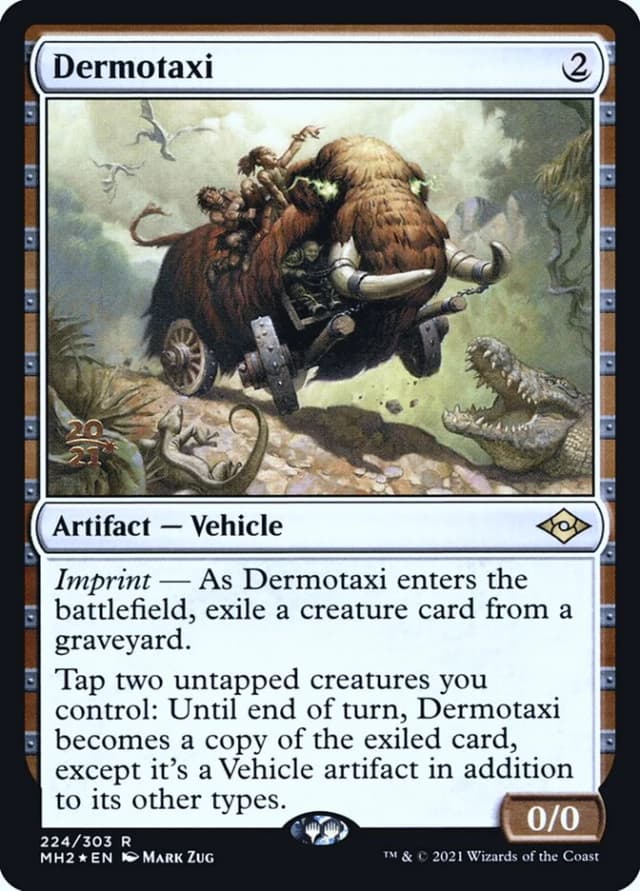 Dermotaxi image