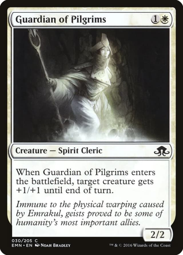 Guardian of Pilgrims image