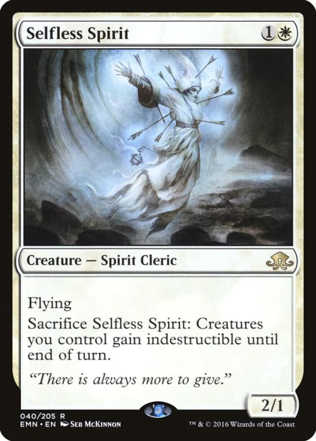 Selfless Spirit image
