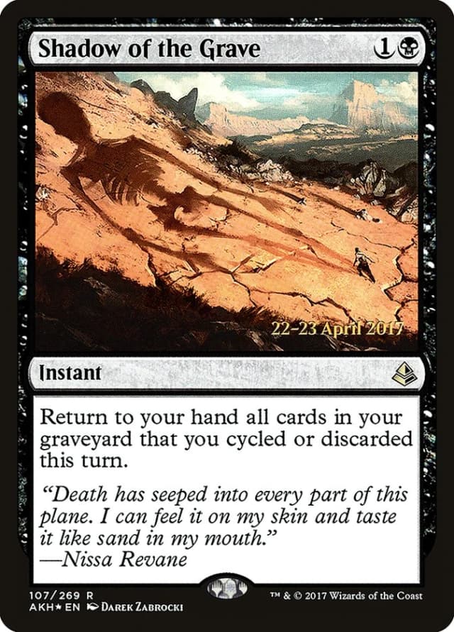 Shadow of the Grave image