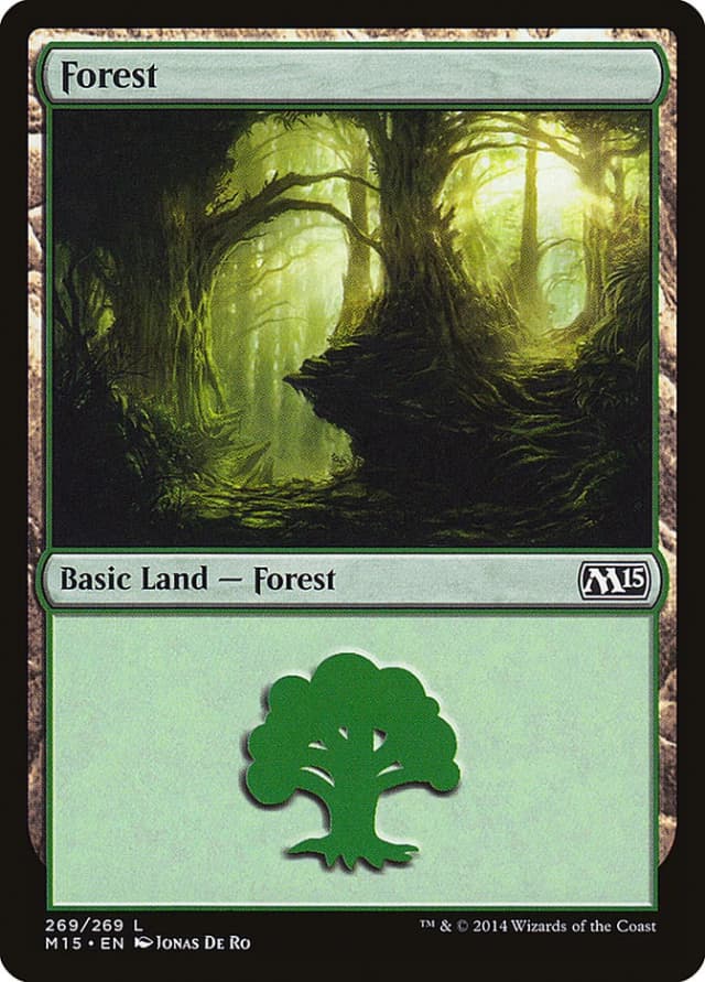 Forest image