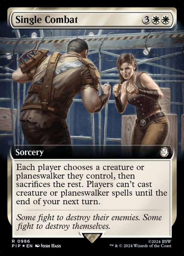 Single Combat image