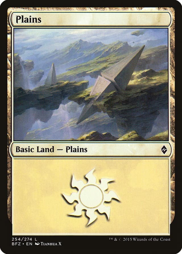 Plains image