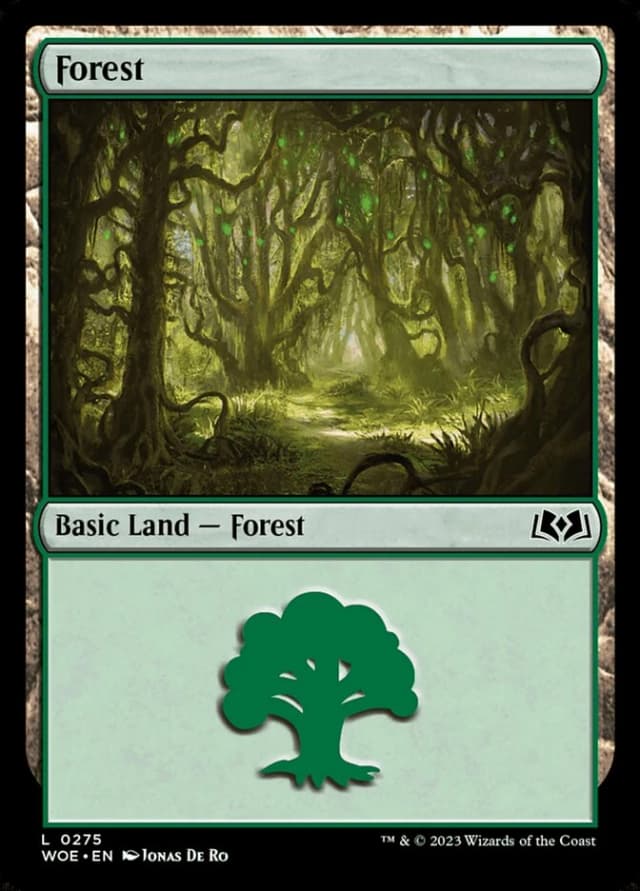 Forest image
