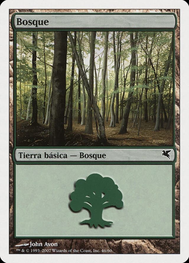 Forest image